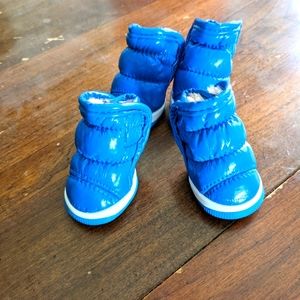 Blue Dog Shoes Whole Paw Set Petsoo M